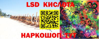 прущие грибы Конаково