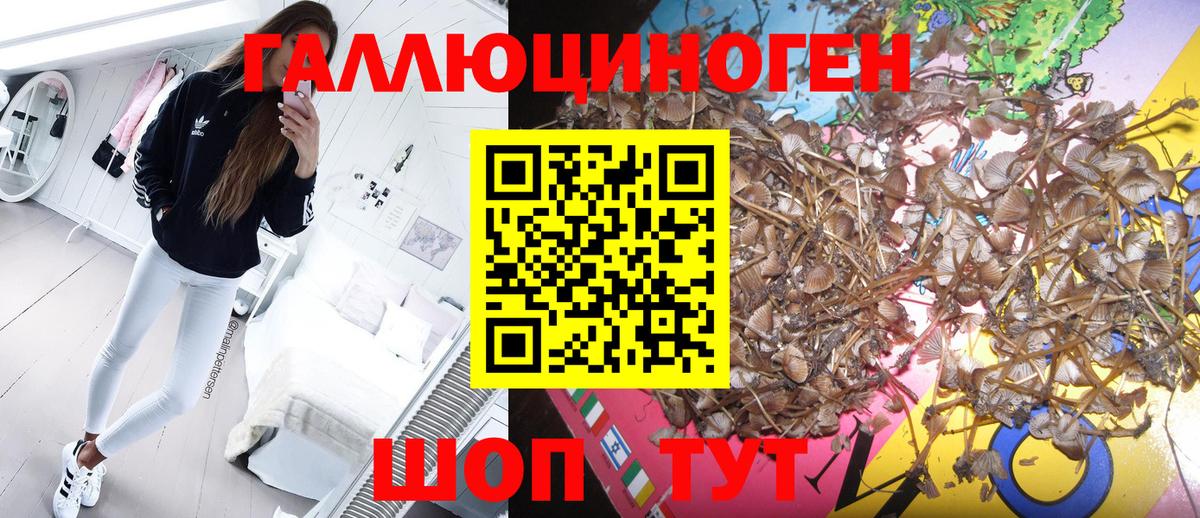 Галлюциногенные грибы GOLDEN TEACHER  Вход с VPN  где найти   Ялта  Псилоцибиновые грибы ЛСД 
