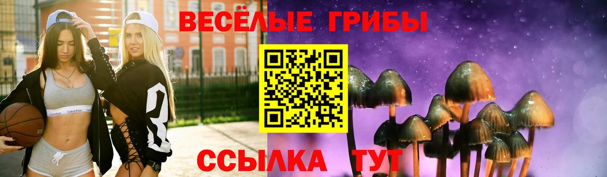 Псилоцибиновые грибы Magic Shrooms Ялта